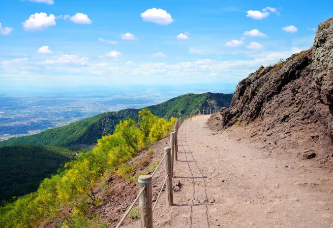 Vesuvius, Winery & Pompeii-10