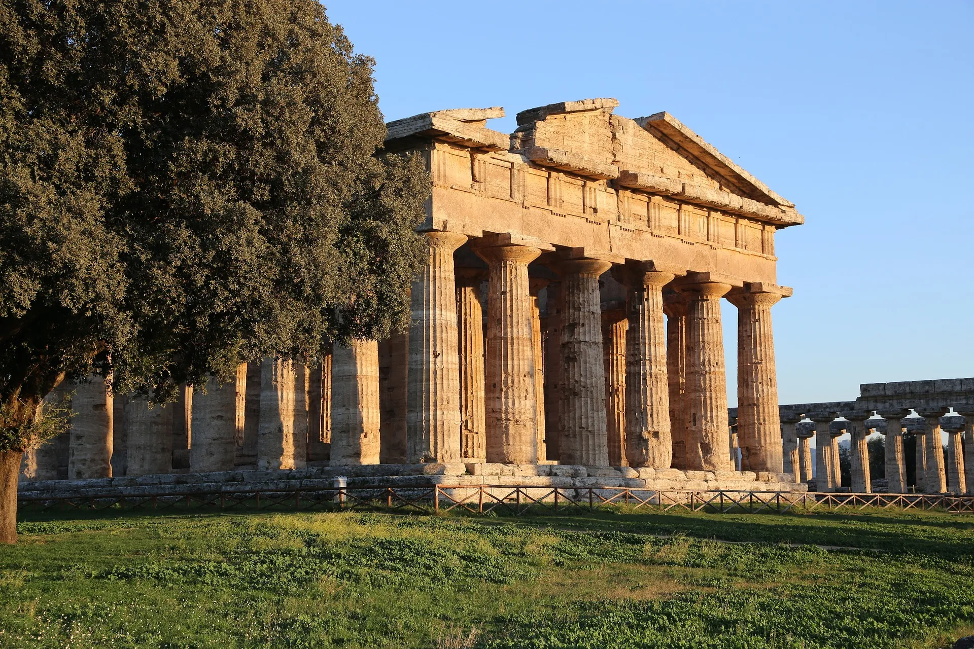 Paestum Tour History and Buffalo Cheese