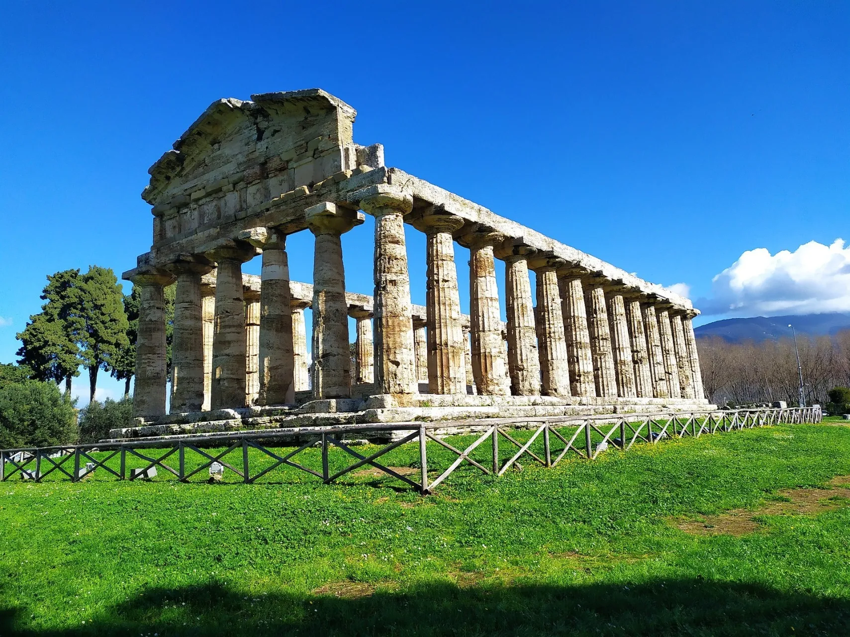 Paestum tour History and Buffalo cheese