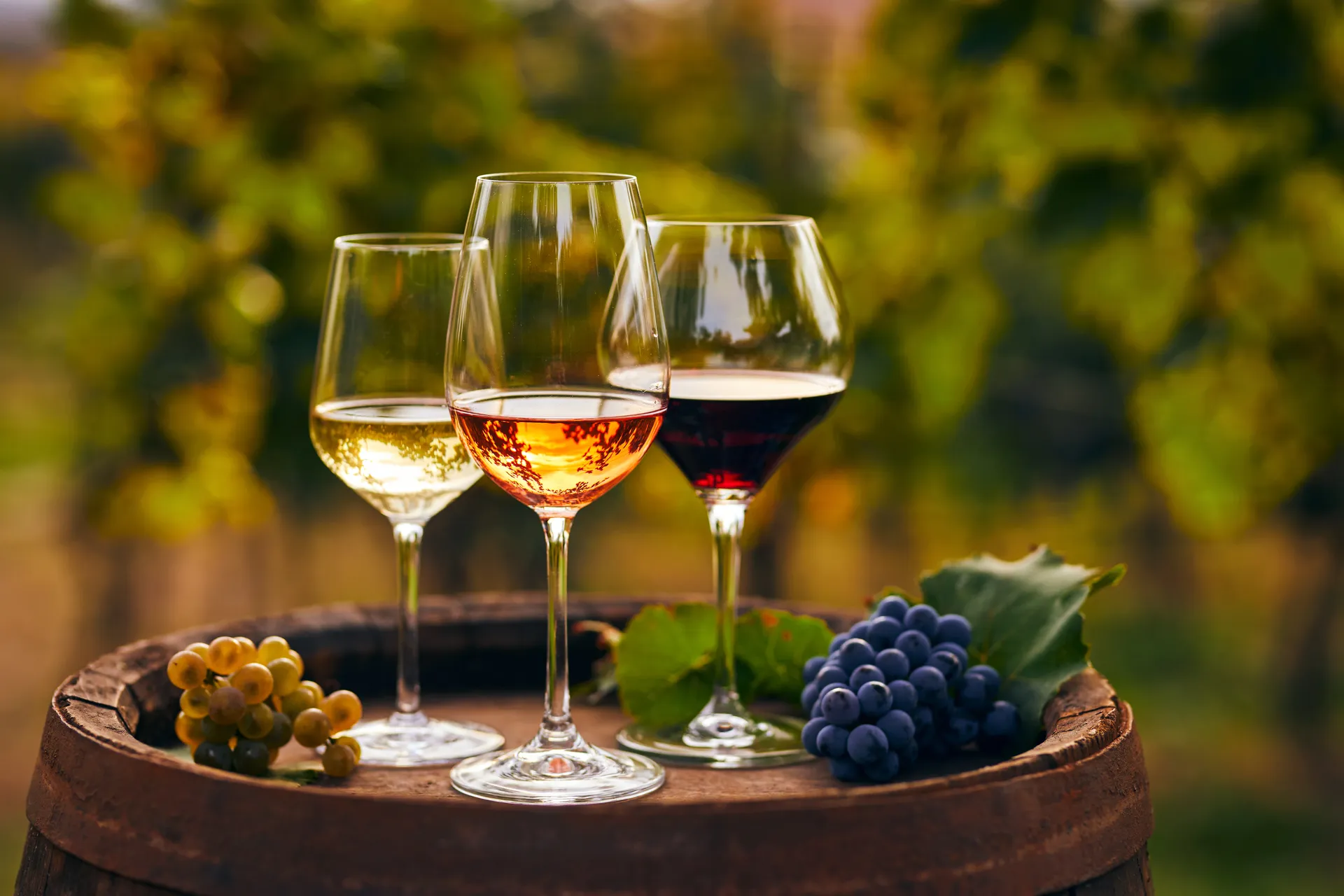 Pompei and Herculaneum full day tour and winery