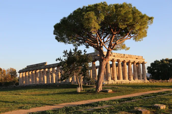 Paestum tour History and Buffalo cheese-4
