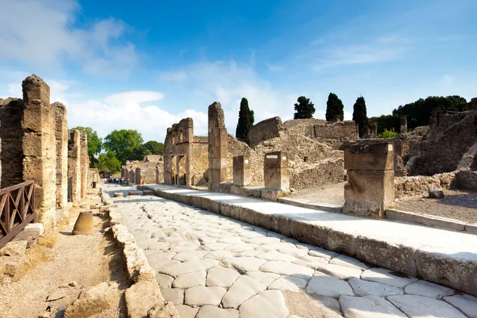 Vesuvius, Winery & Pompeii-7